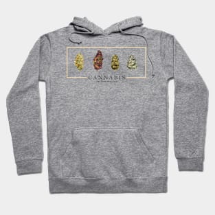 Organic Medicine Hoodie